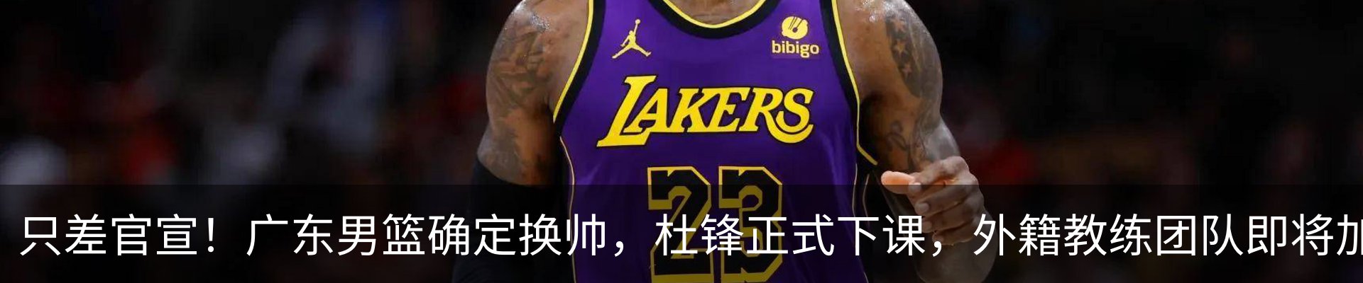 最新动态