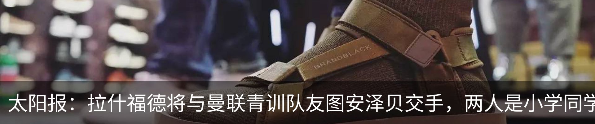 最新动态