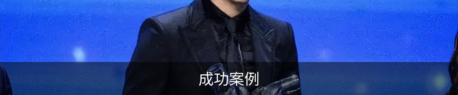 成功案例