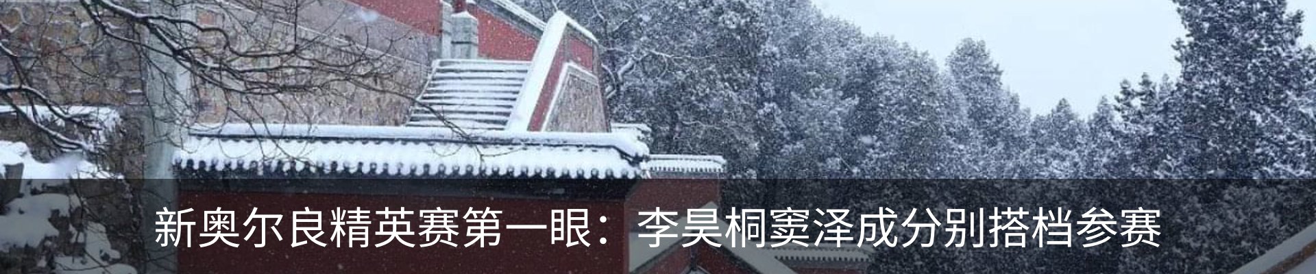 最新动态