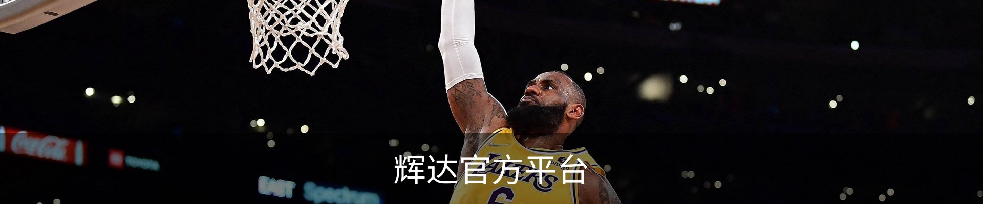 辉达官方平台