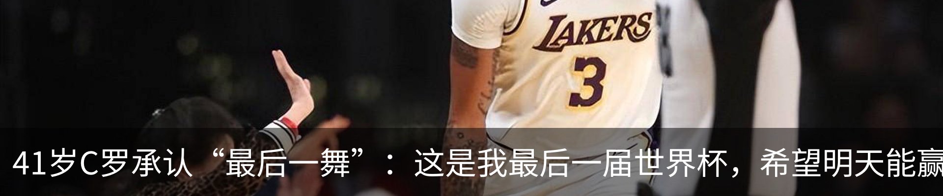 最新动态